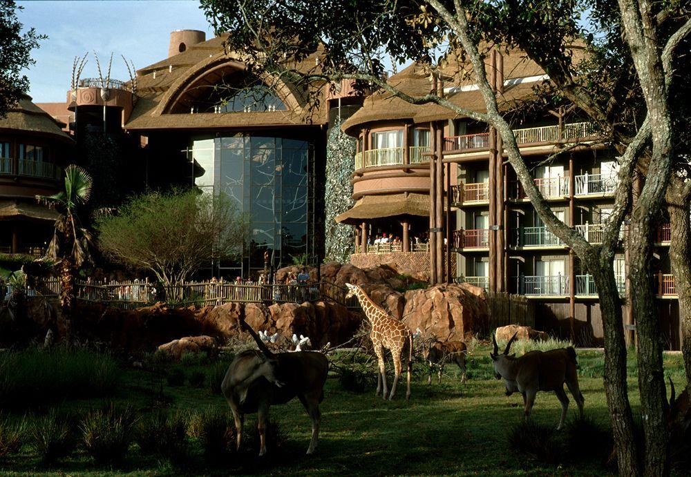 Disney's Animal Kingdom Lodge Jambo House vs. Kidani Village RedWeek
