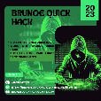 Avatar for Brunoe quick hack