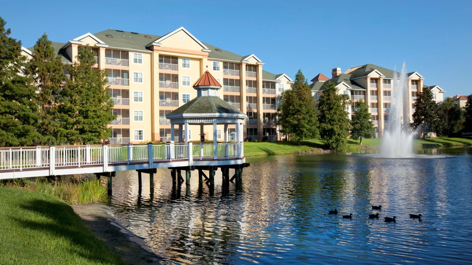Sheraton vistana resort hot sale